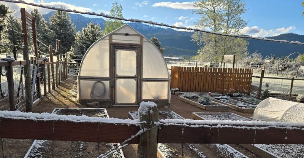 Cold garden picture