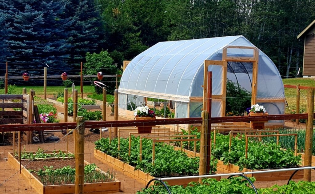 Cold Climate Garden