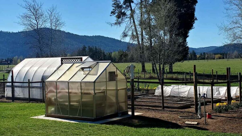 Full Vegetable Garden Photo