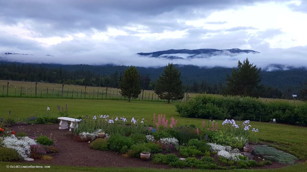 Flower Garden Mountain View