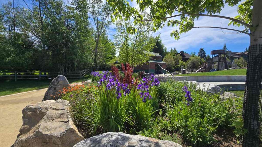 Brown Park Mccall Idaho