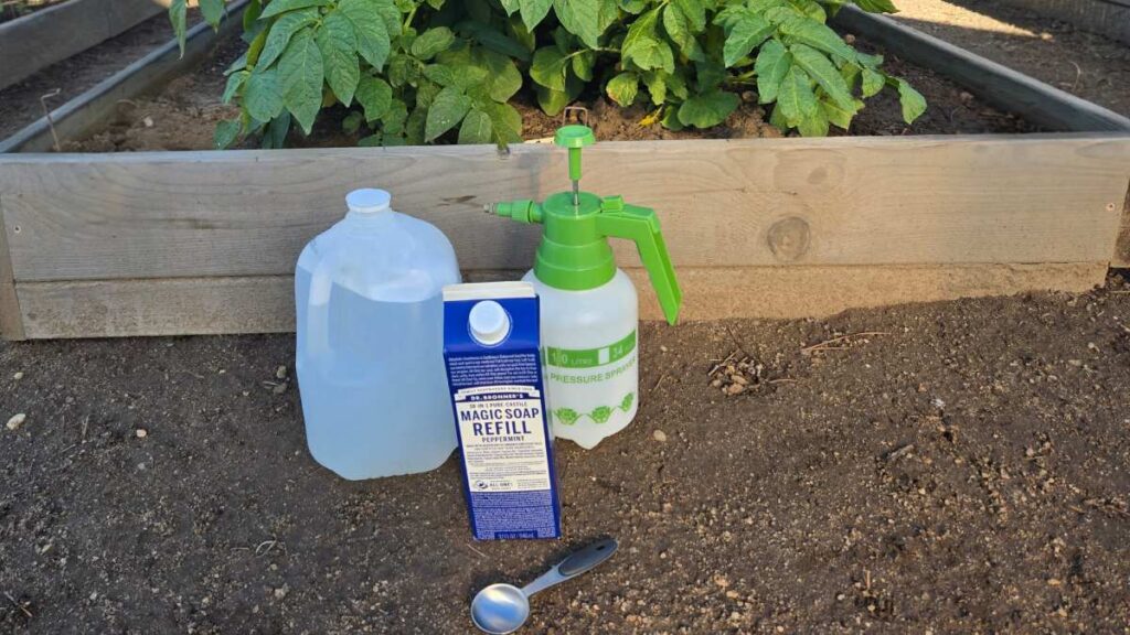 Prevention Is the Best Organic Pest Control
