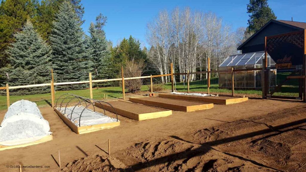 raised beds in the garden
